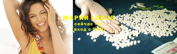 стафф Дмитровск