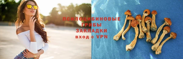 тгк Дмитров