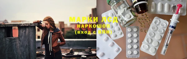 тгк Дмитров
