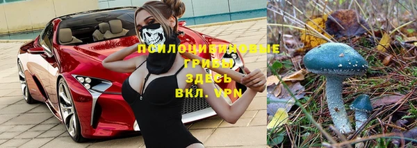 тгк Дмитров