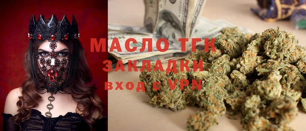 тгк Дмитров