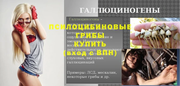 тгк Дмитров