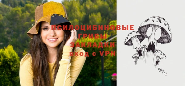 стафф Дмитровск
