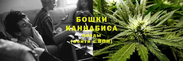 тгк Дмитров