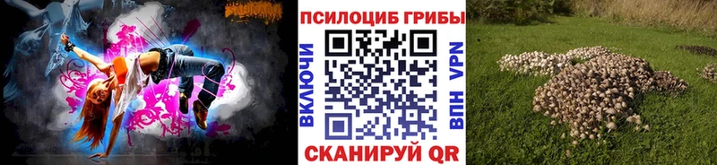 Псилоцибиновые грибы Magic Shrooms  Купить  Кимры 