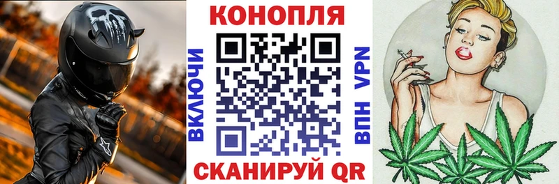 Купить где Кимры МАРИХУАНА гибрид